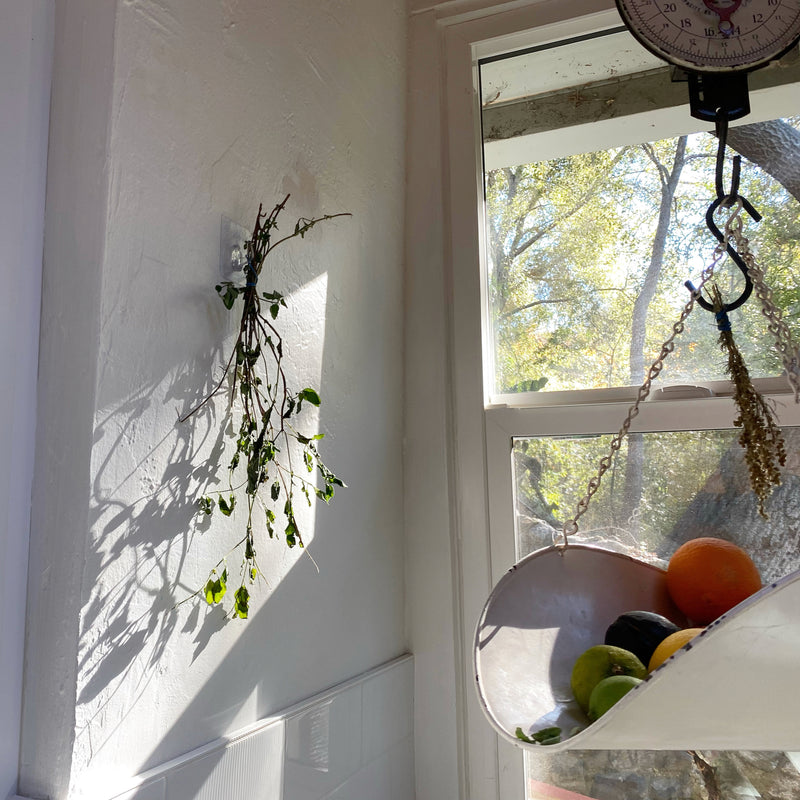 Soaking up the Fullness of our Day // Love Letter, January 2022