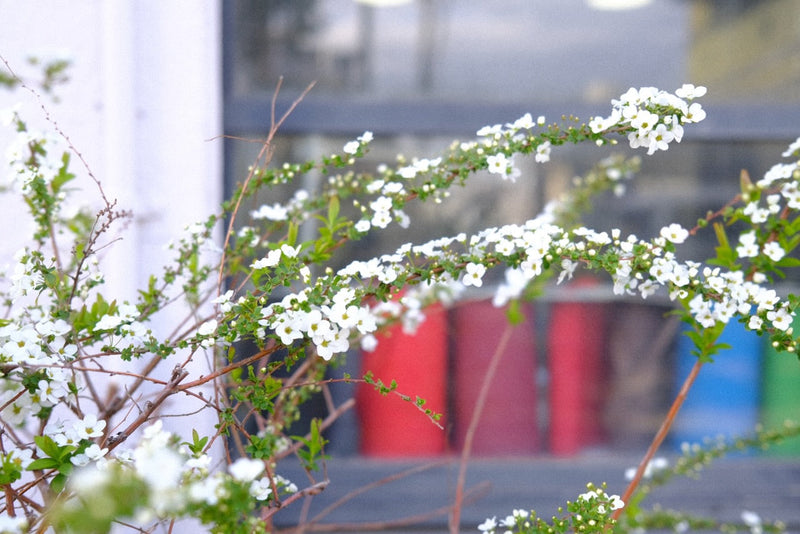 Growing relationship with ateliers Penelope