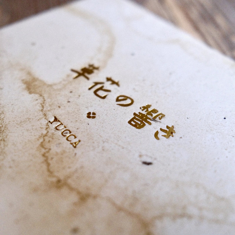 Botanical Resonance of Yucca // wakako