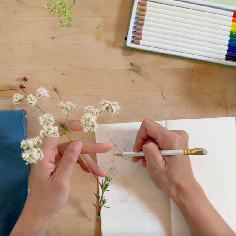 Pause, breathe, and journal #16 // Wakako