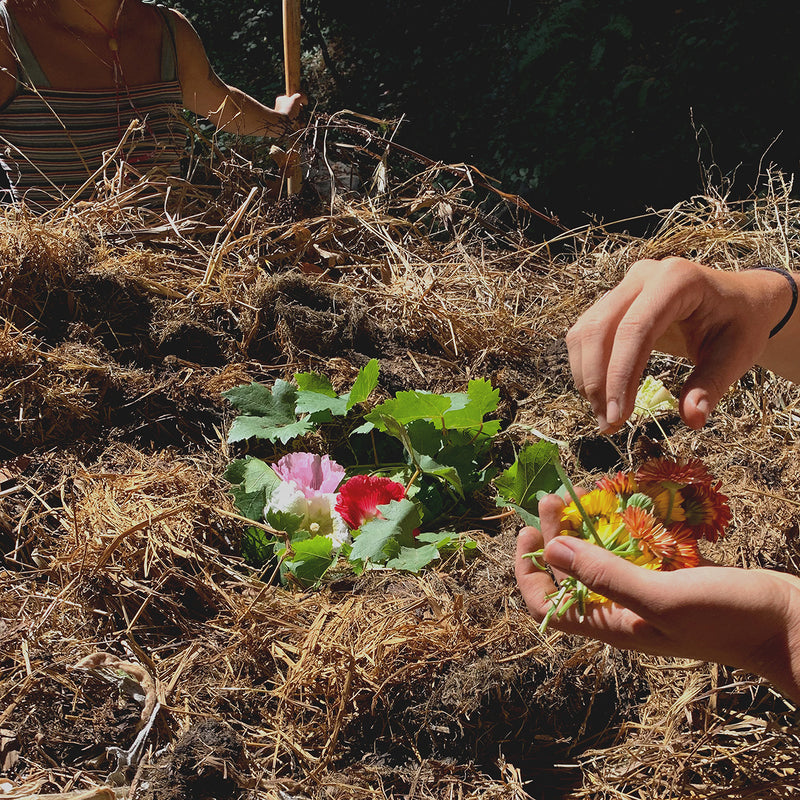 Gifts from the Earth // Angie