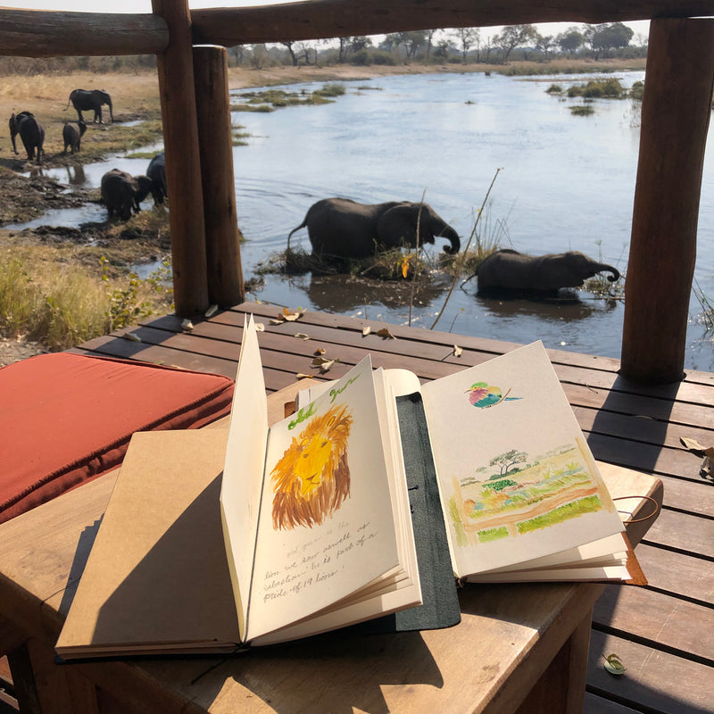 Belinda // Journaling through the Epic Family Adventure in Africa