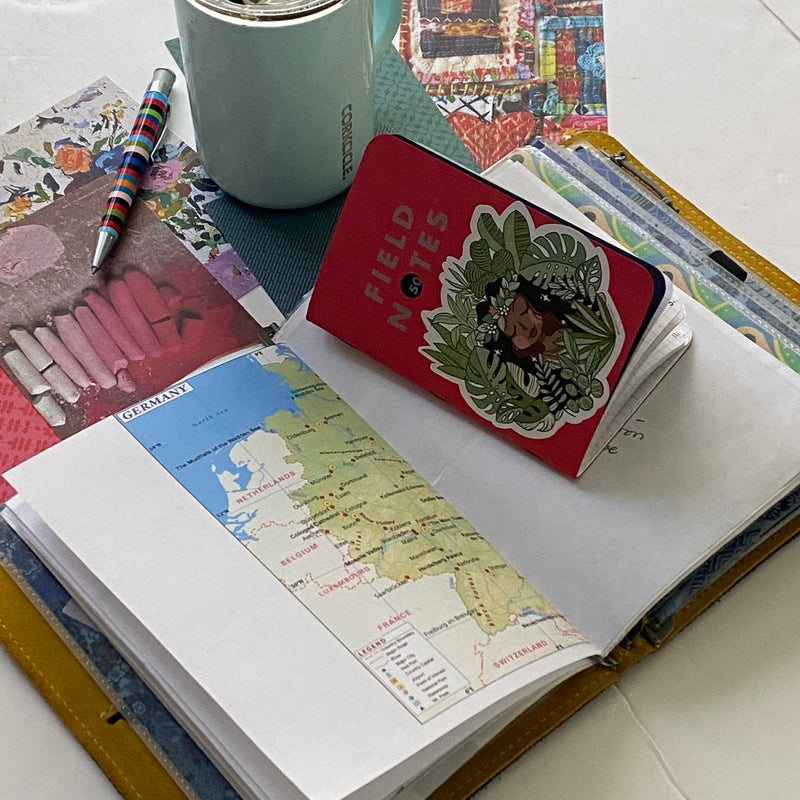 Plant Journaling and The Evolution of a Plant Parent // Trina O’Gorman