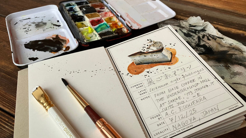 My Kyoto Specimen Card Collection // A.C.