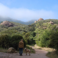 [Analogue Meet-Up // Nature + Journal] November 6th (10am-12pm) @ Topanga Canyon