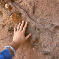 [Analogue Meet-Up // Nature + Journal] November 6th (10am-12pm) @ Topanga Canyon