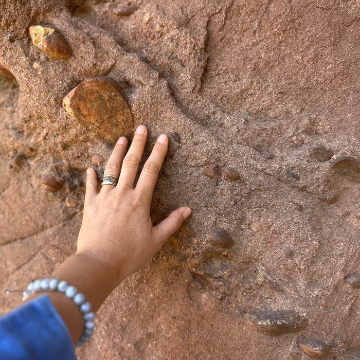 [Analogue Meet-Up // Nature + Journal] November 6th (10am-12pm) @ Topanga Canyon