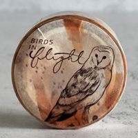 [Emil Konishi] Birds in Flight