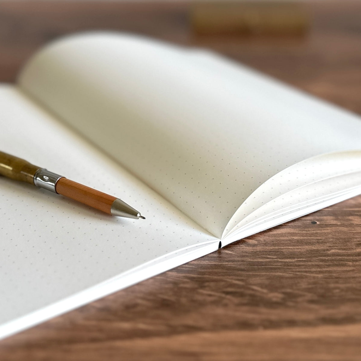 [Sakae Notebook] Iroful (160 Pages)