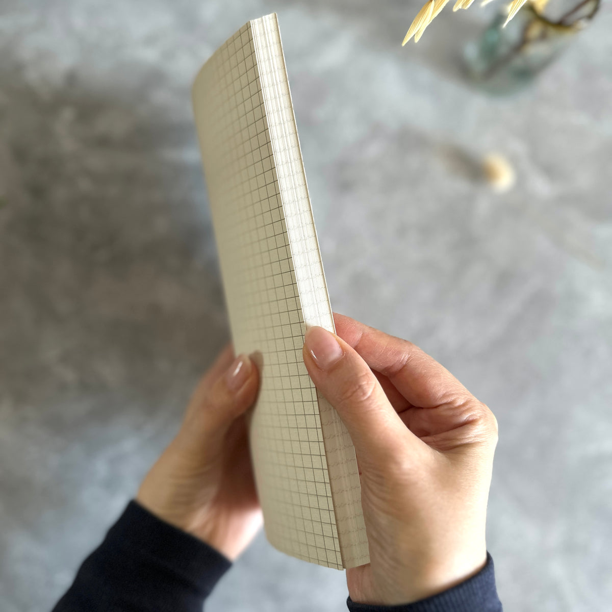 [Sakae Notebook] Iroful (96 Pages)