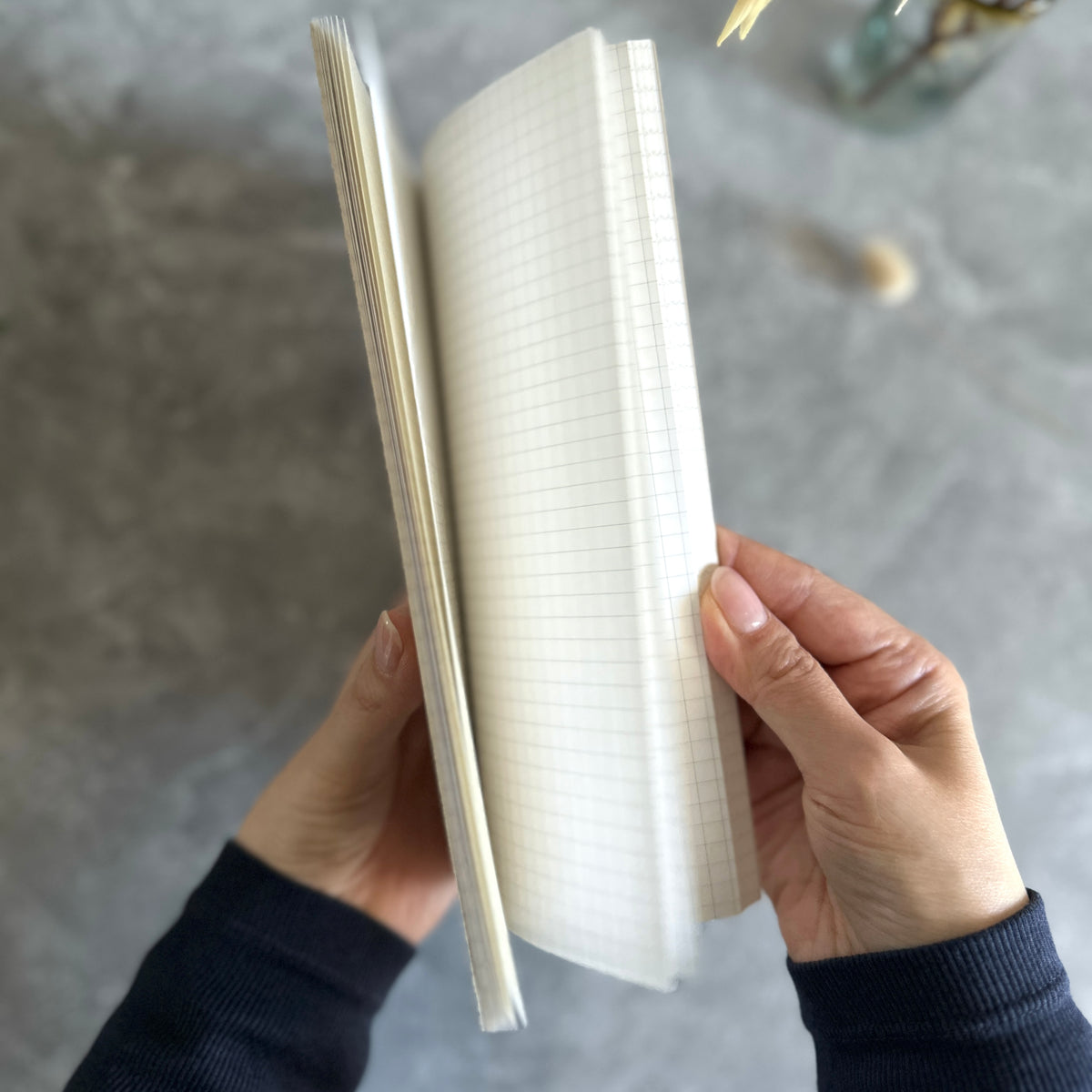 [Sakae Notebook] Iroful (96 Pages)