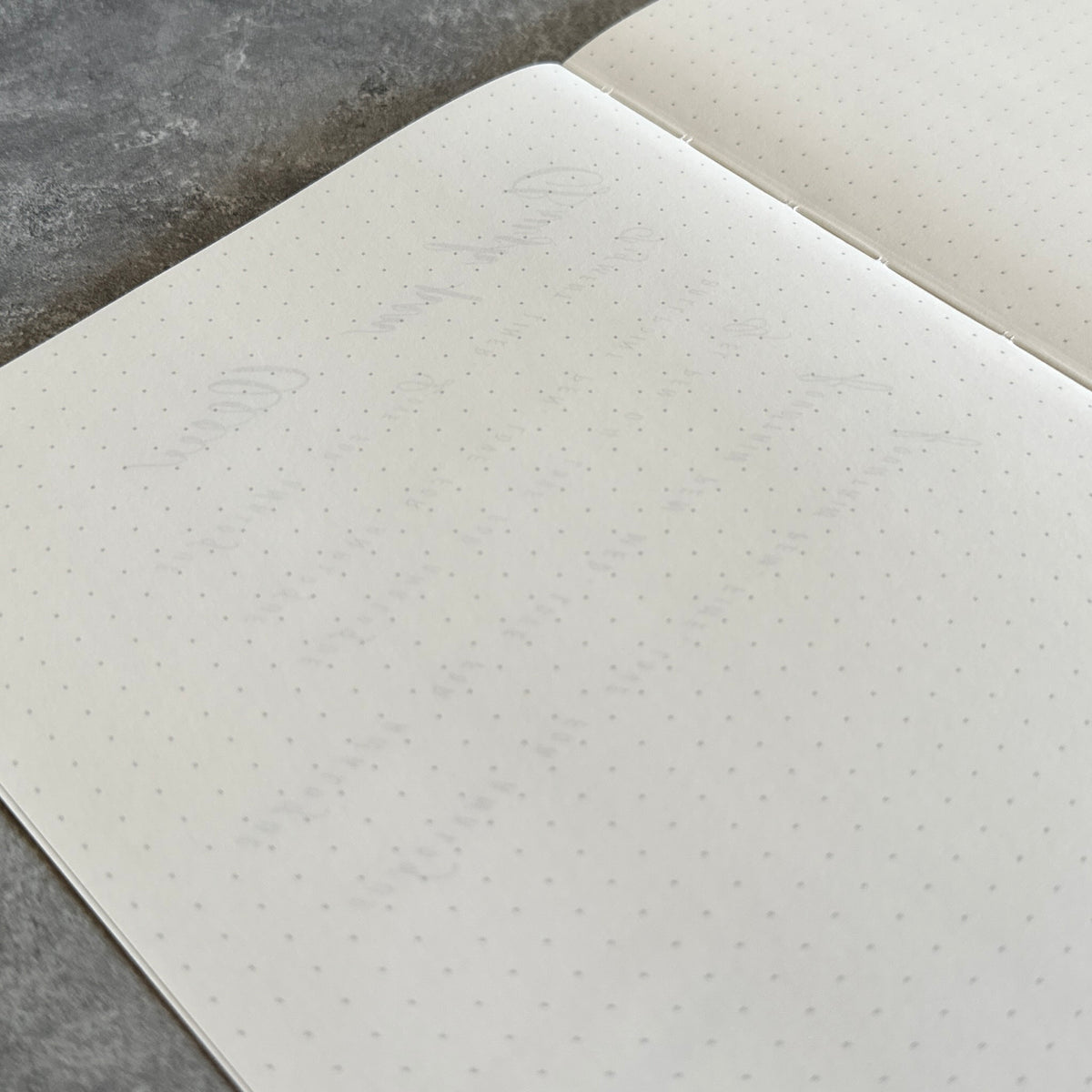 [Sakae Notebook] Iroful (160 Pages)