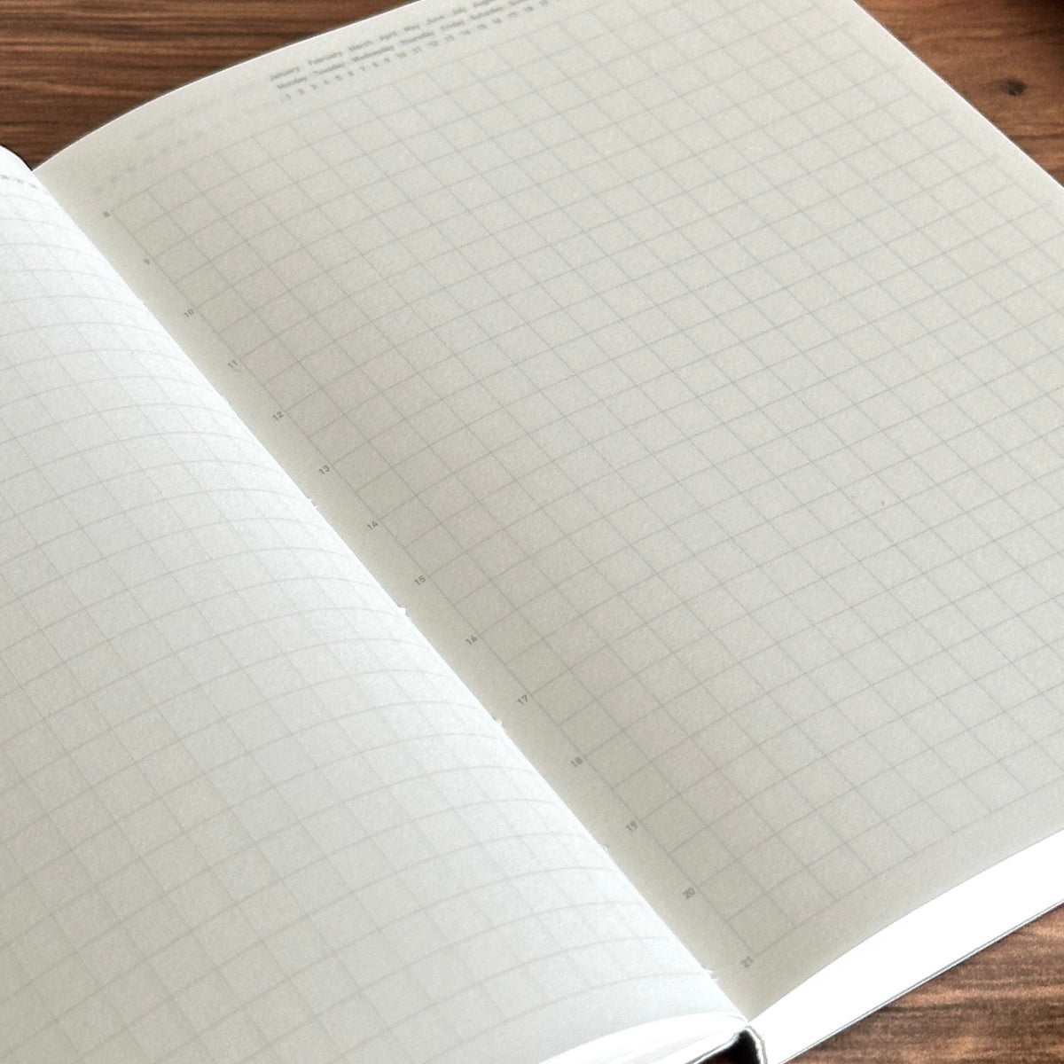 [Stalogy Notebook] 1/2 Year (A6)