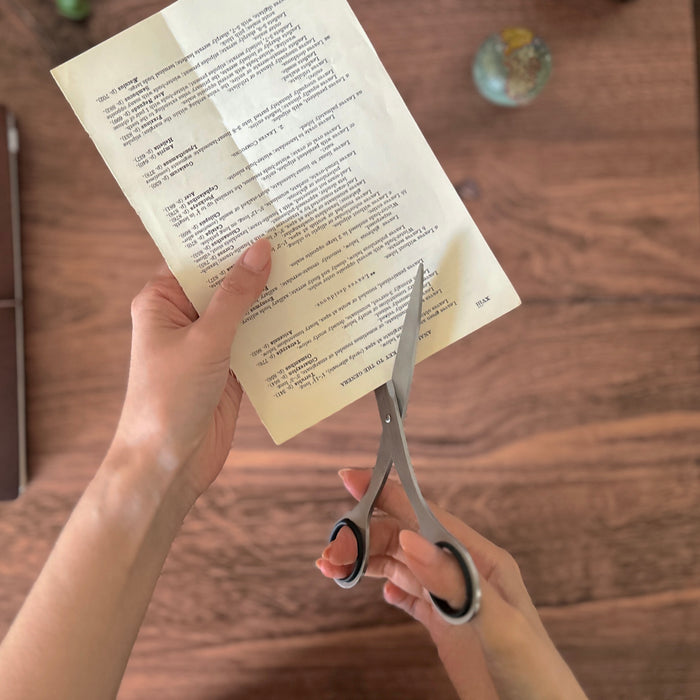 [Plus] Stainless Steel Scissors