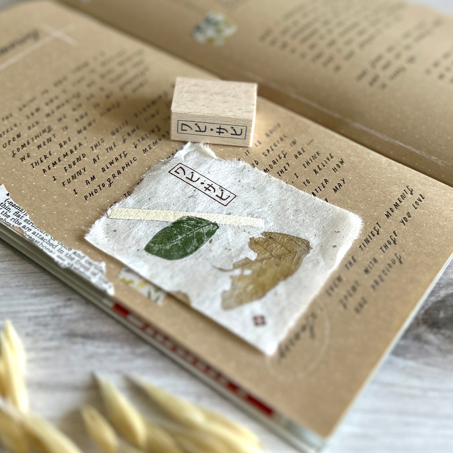 BK Original Stamp] Wabi-Sabi – Baum-kuchen