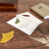 [Peg and Awl] Specimen Card Book