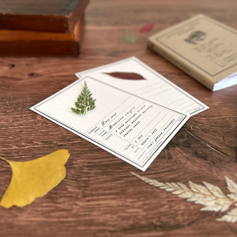 [Peg and Awl] Specimen Card Book