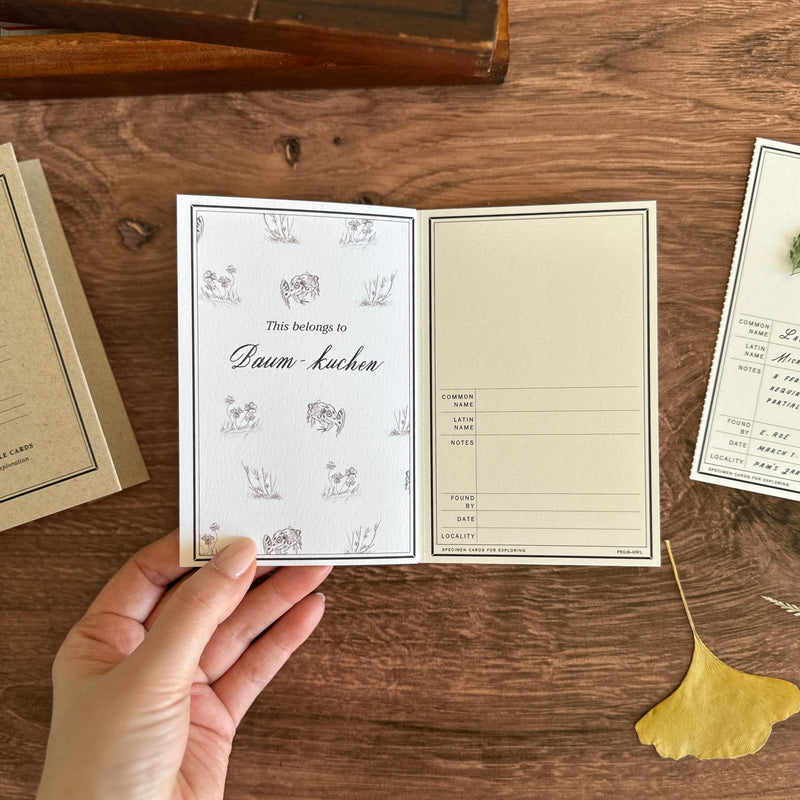 [Peg and Awl] Specimen Card Book