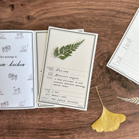 [Peg and Awl] Specimen Card Book