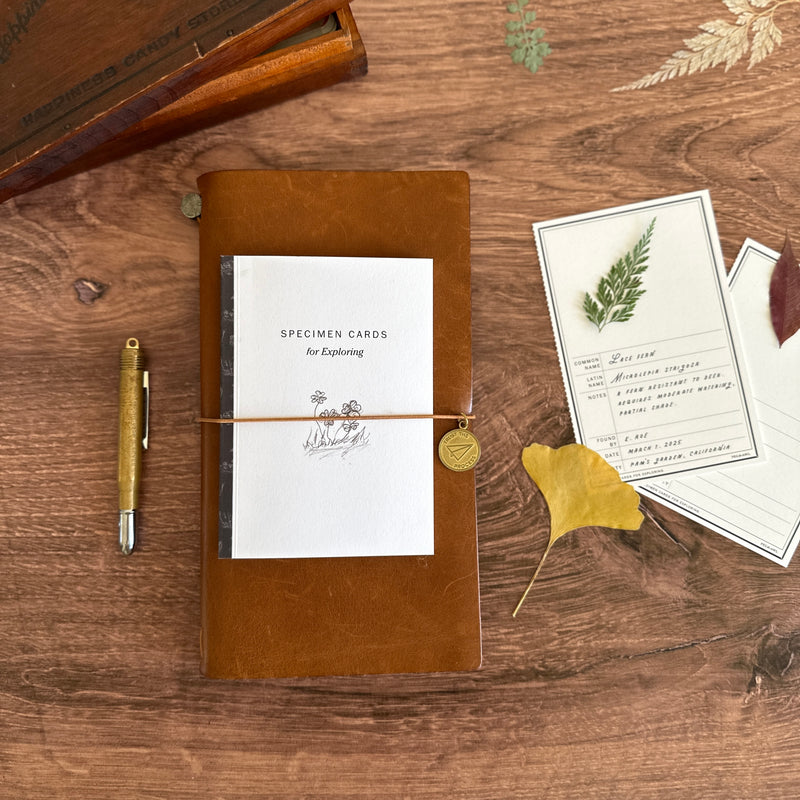 [Peg and Awl] Specimen Card Book
