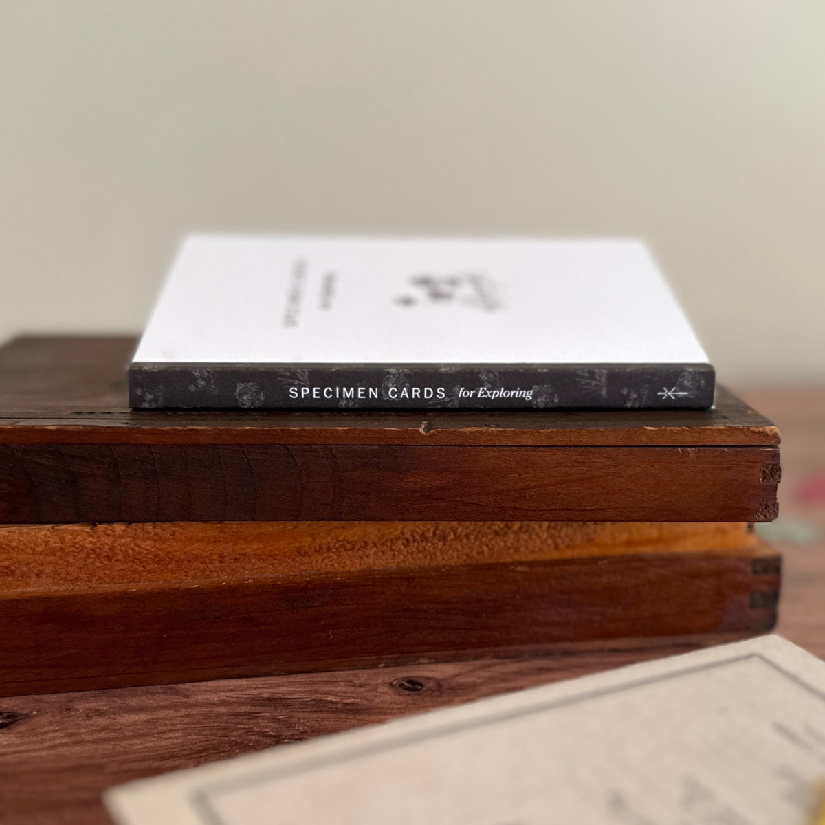 [Peg and Awl] Specimen Card Book