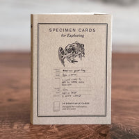 [Peg and Awl] Specimen Card Book