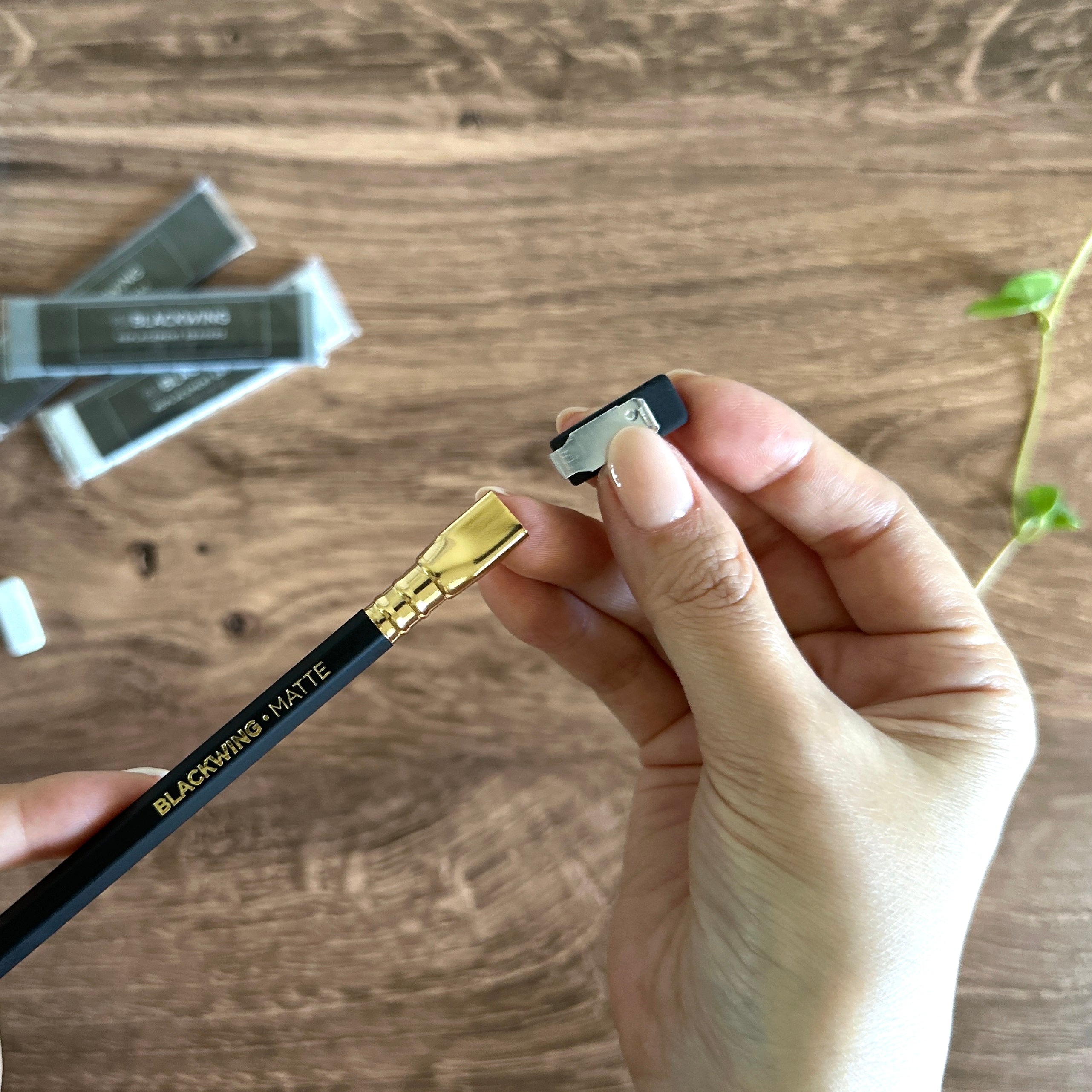 Blackwing – Baum-kuchen Blackwing – Baum-kuchen