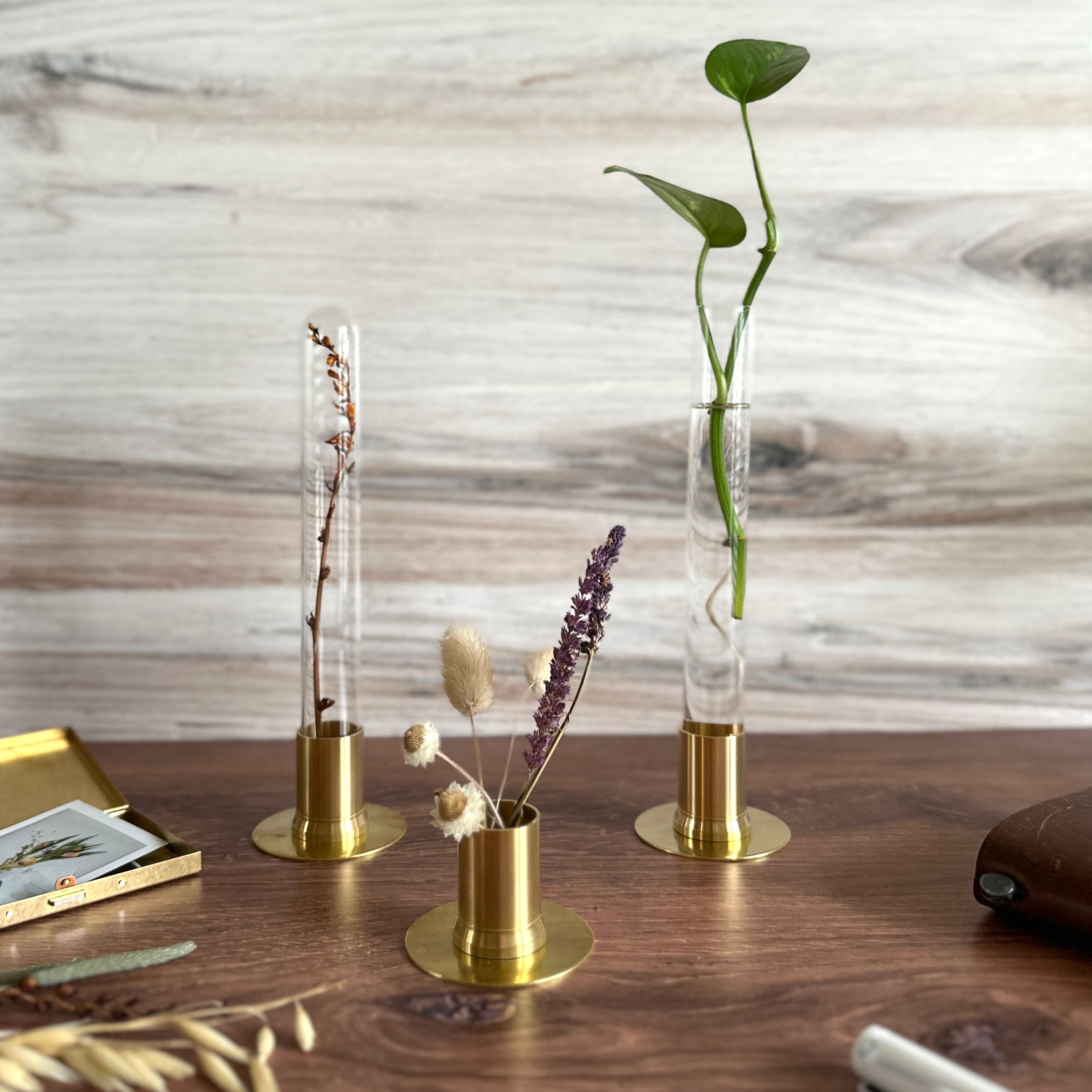 Herbarium Brass Glass Dome & Flower Vase