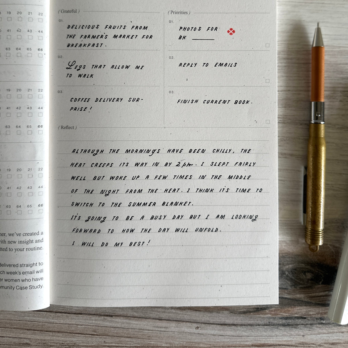 [Wilde House Paper] Routine Journal