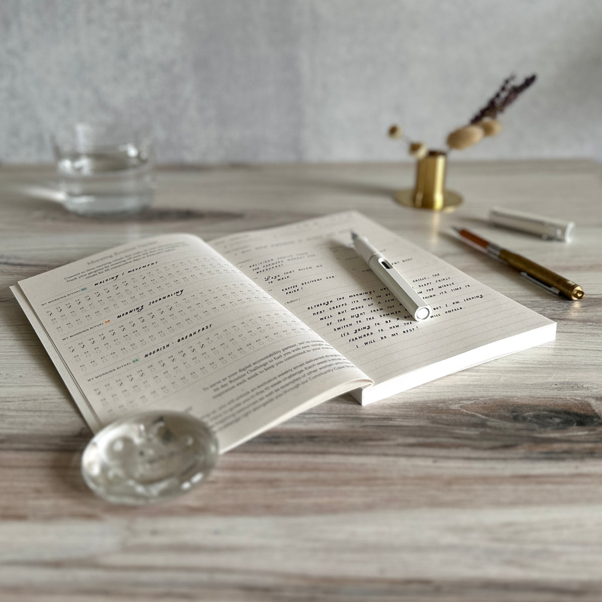 [Wilde House Paper] Routine Journal