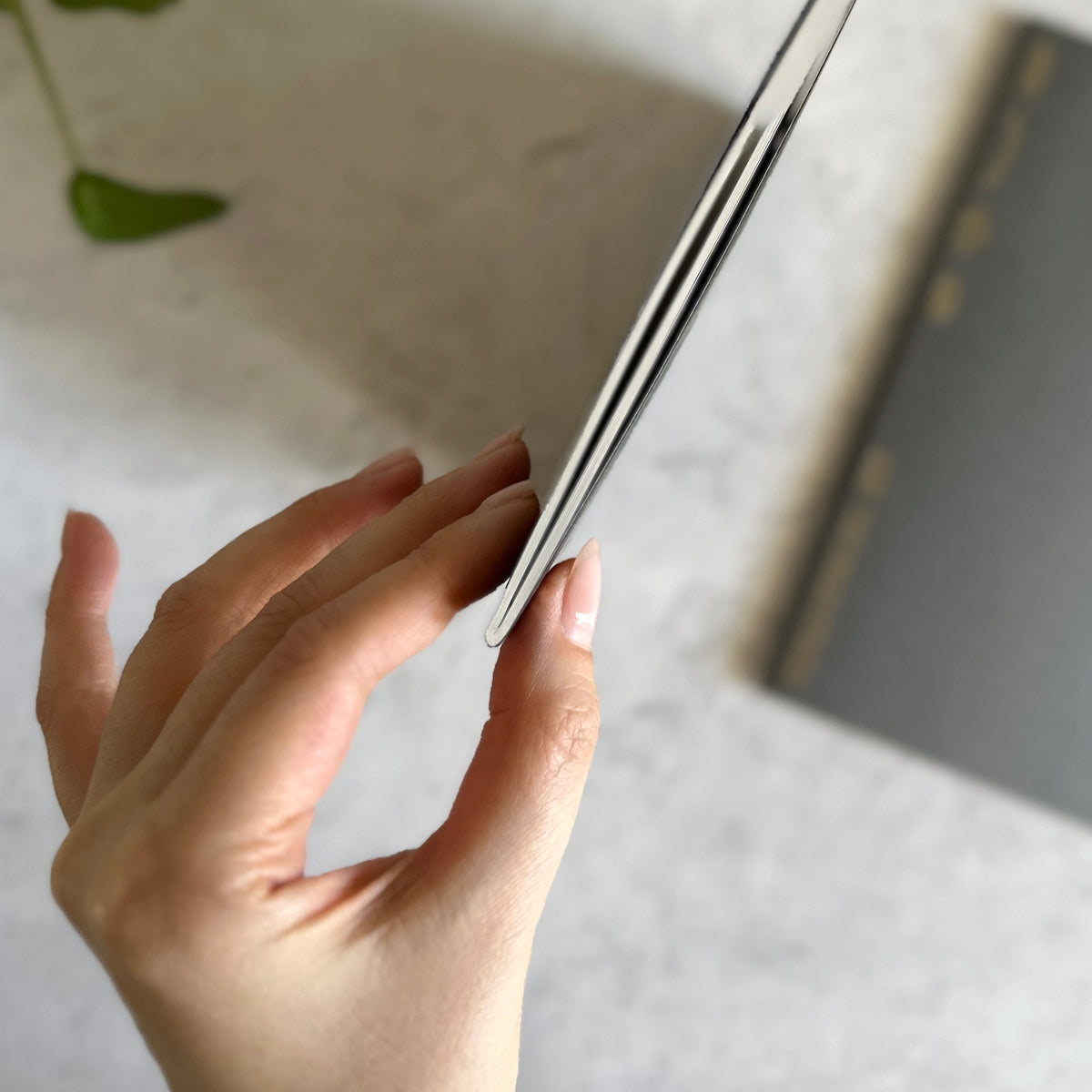 [Stalogy 2026] Monthly Diary (A5)
