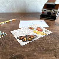 [BK Original Postcard] Field Study