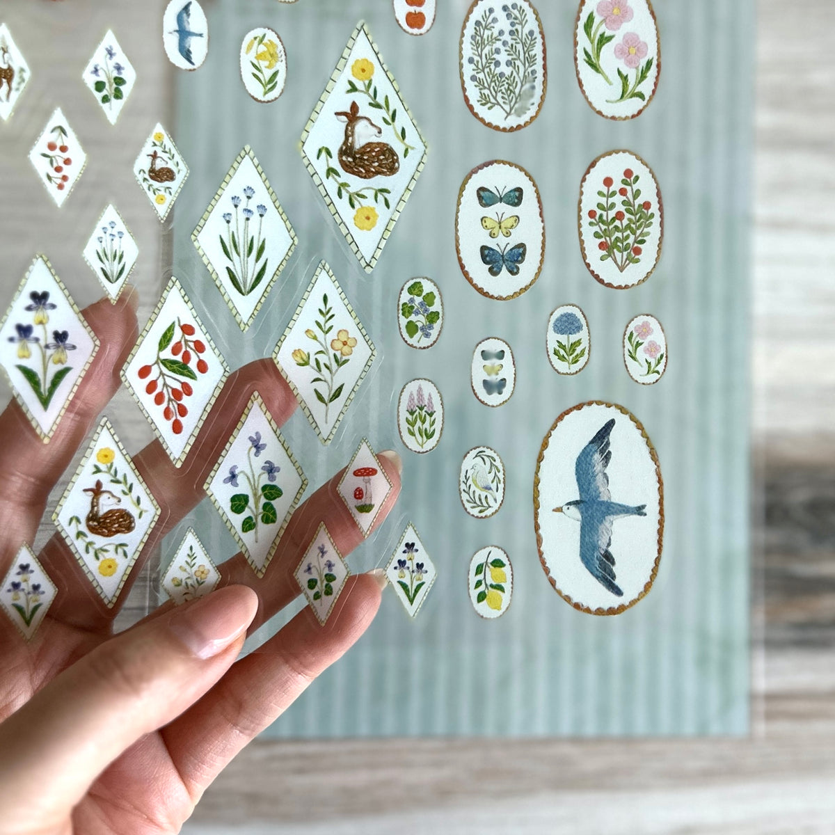 [Cozyca Stickers] Midori Asano