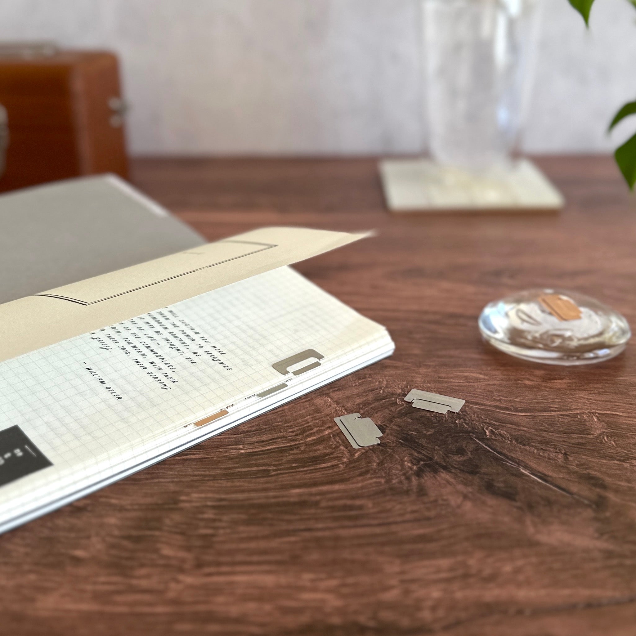 MIDORI] Index Clips – Baum-kuchen