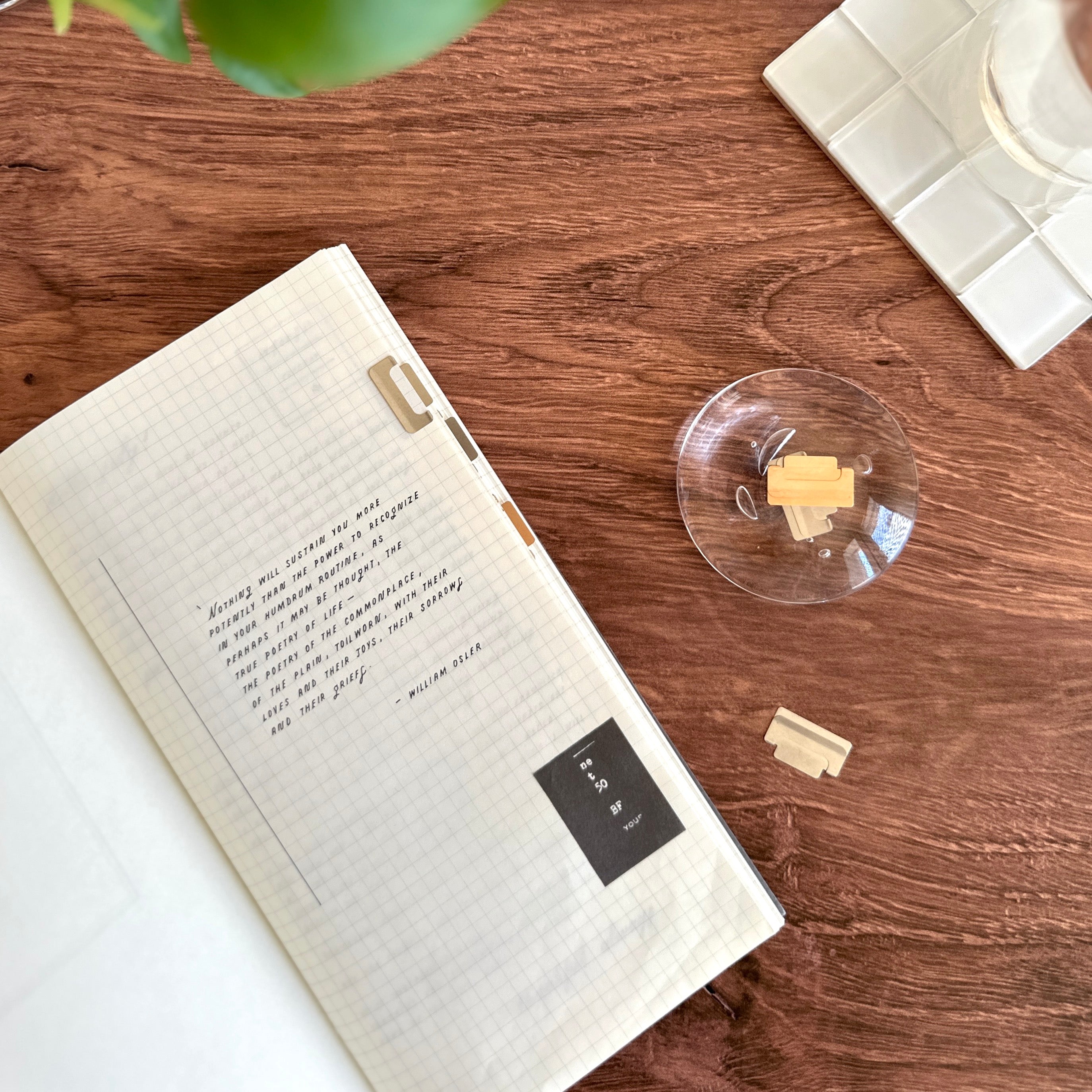 MIDORI] Index Clips – Baum-kuchen