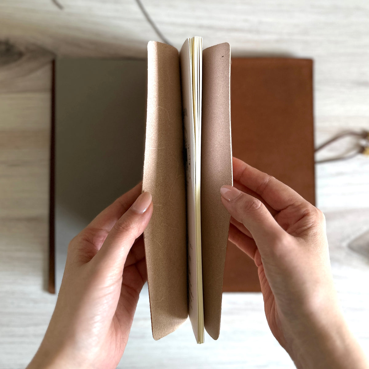 [TY] Platform (Regular Size)