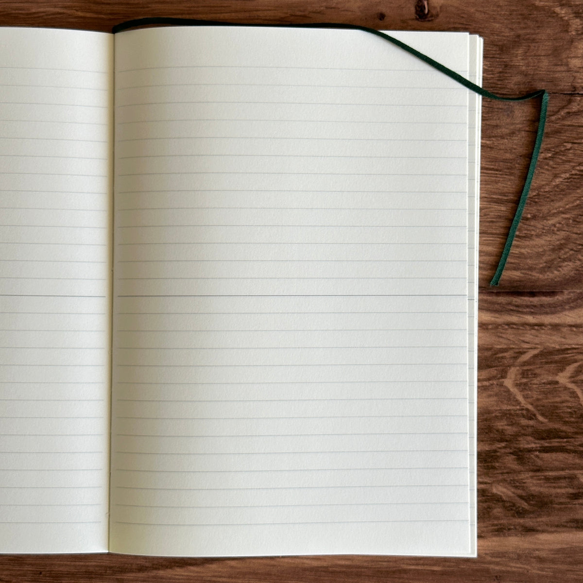 [MD Notebook] A5