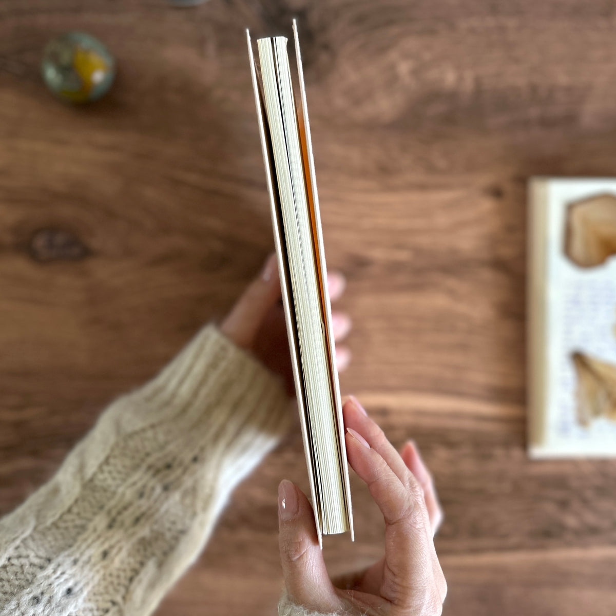 [MD Notebook] Paper Cover (3 sizes)