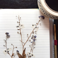 [MD 2024] Diary