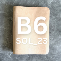 [BKxRoterfaden] SOL_23 (B6)