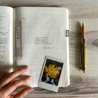 [Stalogy Notebook] 1/2 Year 2023 LIMITED (A5)
