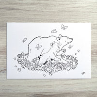 [BK Original Postcard] California Poppy and Bear