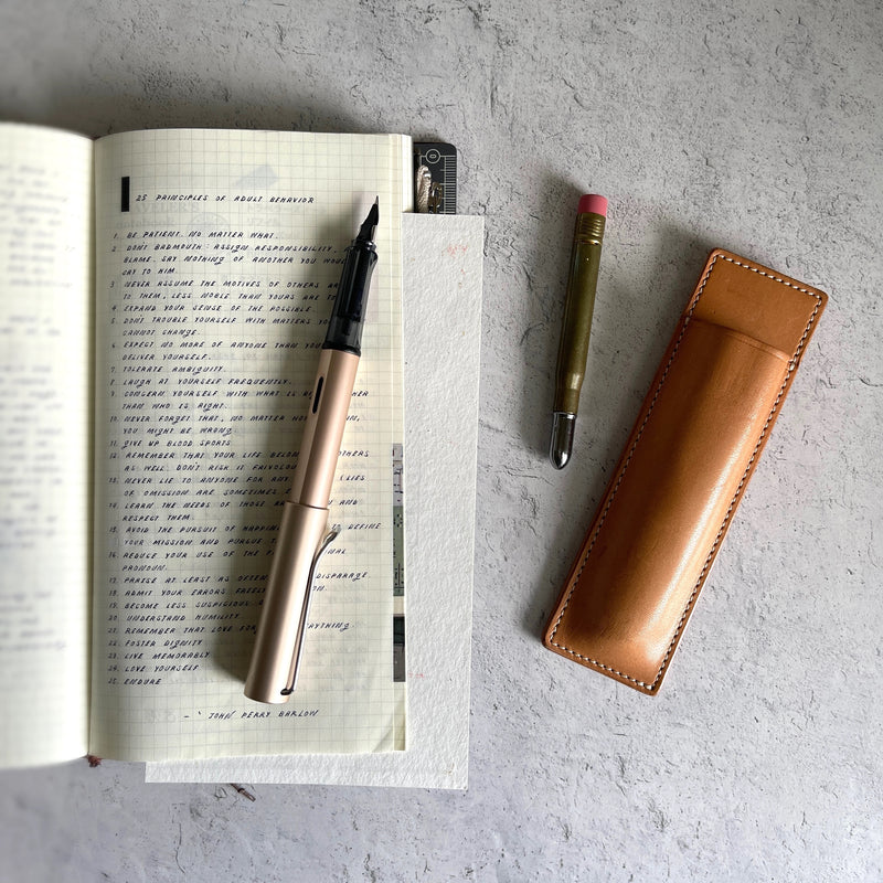 [Lamy Fountain Pen] AL-star "Cosmic"