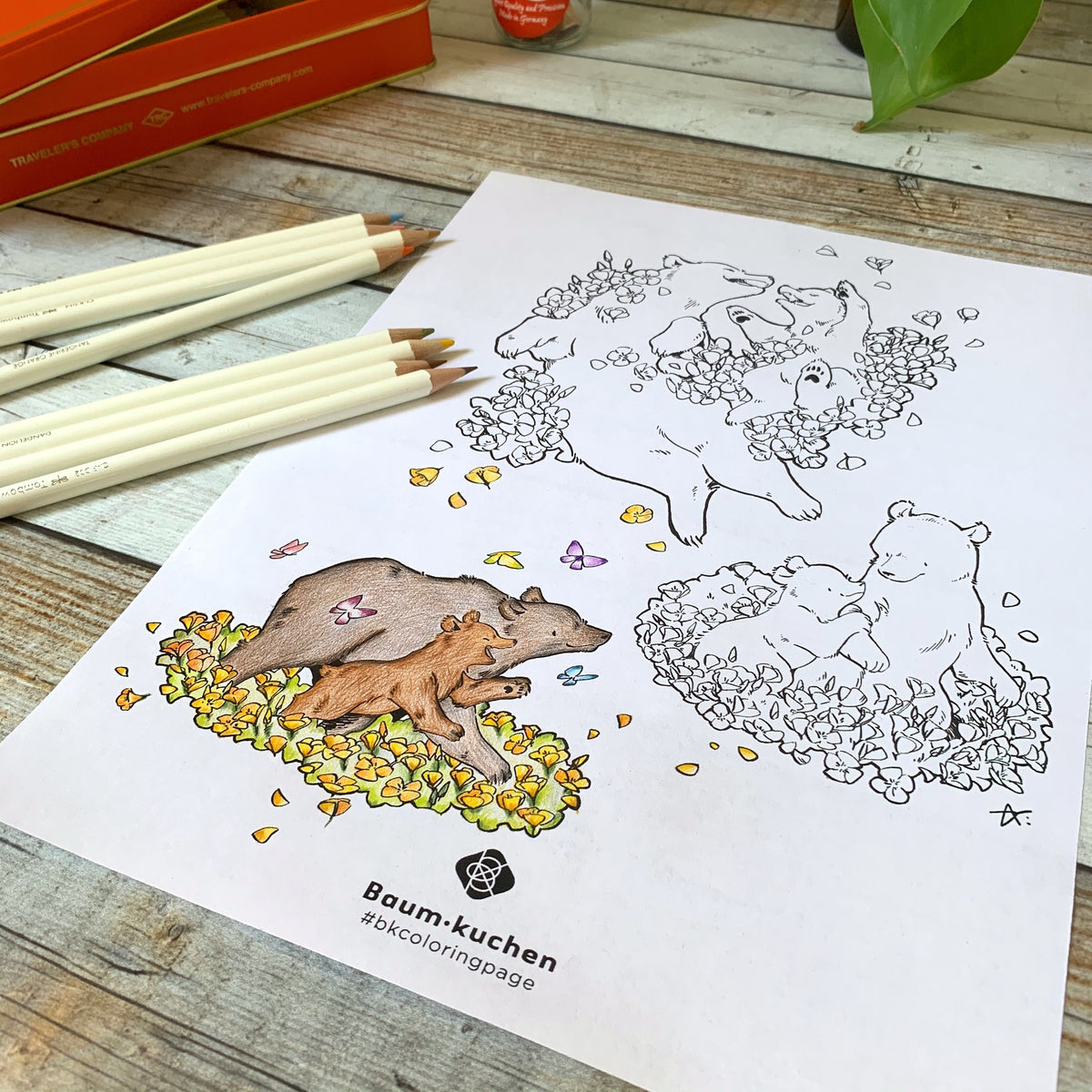 [BK Original Coloring Page] California Poppy and Bear (PDF Download)