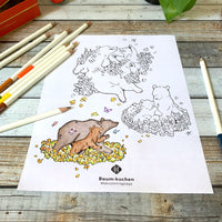 [BK Original Coloring Page] California Poppy and Bear (PDF Download)