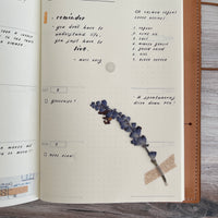 [BKxTRC] JIYU Weekly Planner