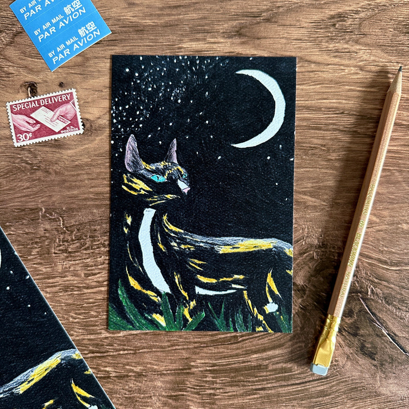 [BK Original Postcard] Black Cat by Coco