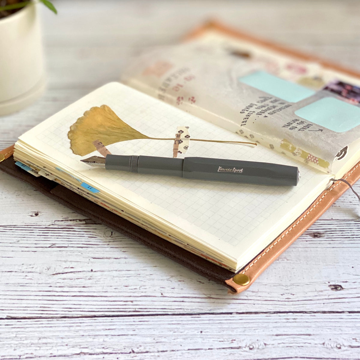[Kaweco] Skyline Sport Fountain Pen || Gray