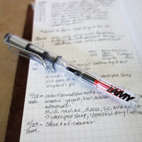 [Lamy Fountain Pen] Vista