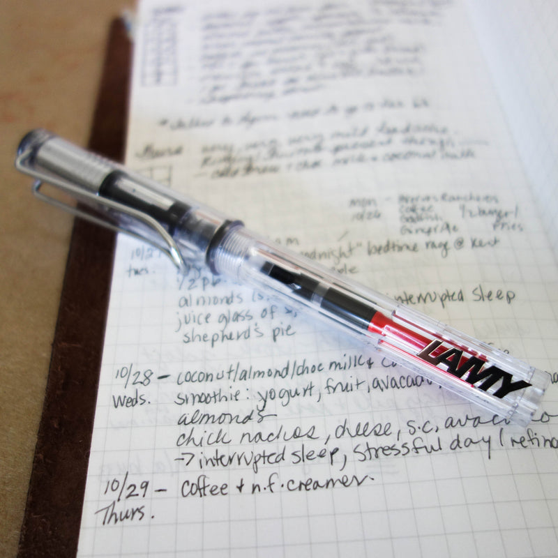 [Lamy Fountain Pen] Vista